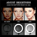 RL-21 LED Ring Light White Color