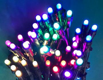 Pixel LED 24 Lamp Multi Color LED 10Meter