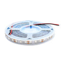 12V DC Blue 3020 LED Strip 5 Meter